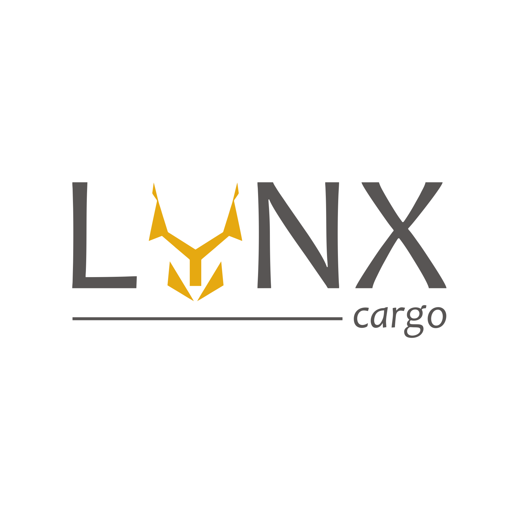 Lynx Cargo — międzynarodowy transport drogowy